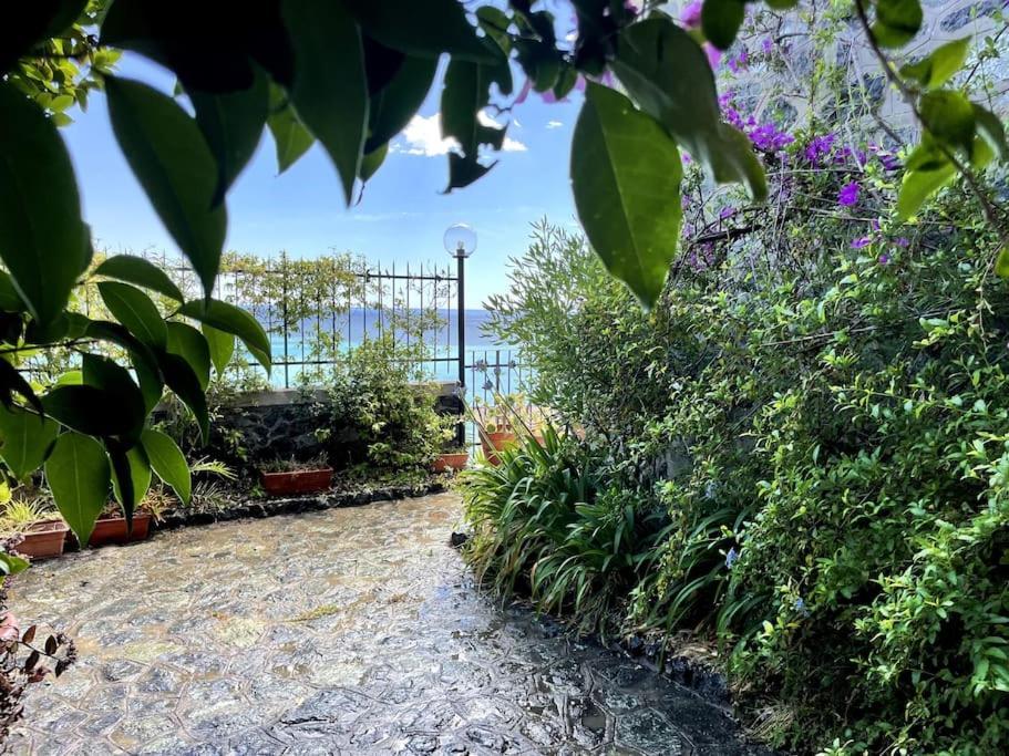 Ocean View Villa With Fast Wi-Fi And Elevator To Town Levanto Eksteriør billede